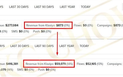 How We Generate Additional $59,079 in Total Email Marketing Revenue For This New Client